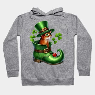 Abyssinian Cat Shoes For Patricks Day Hoodie